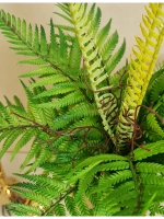 Искусственные растения для декора