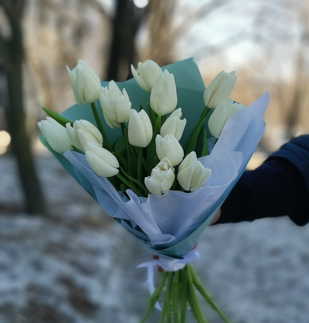 15 тюльпанов в упаковке