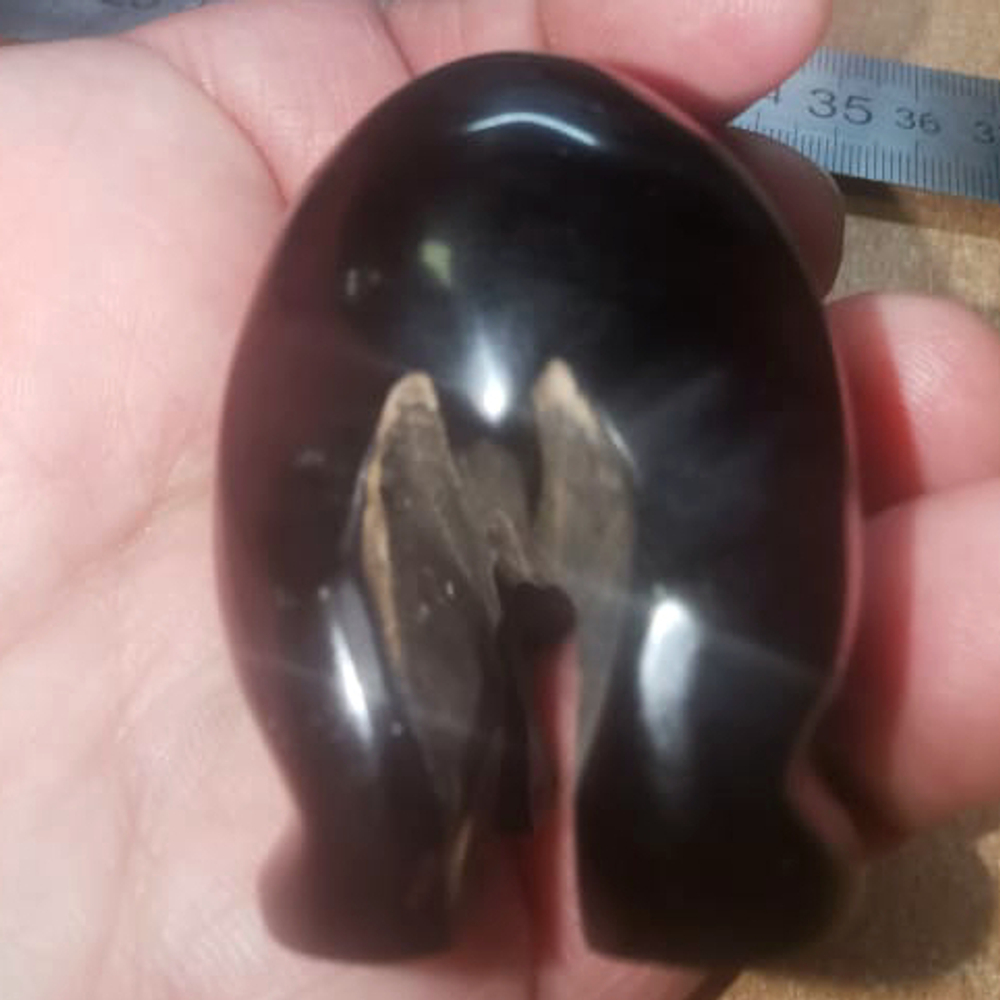 Медведь гагат