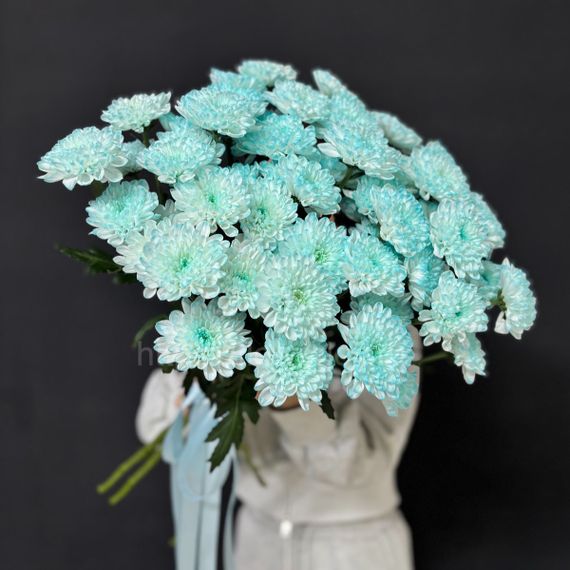 Букет из голубой хризантемы