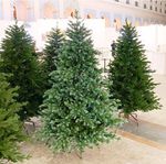 Ель искусственная «Айрин» (Литая хвоя) 210 см / 2,1 м
