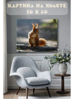 Картина на стену 40 X 50 Белка