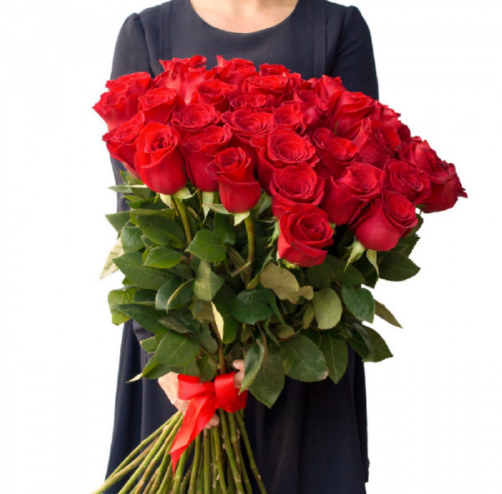 31 красная роза