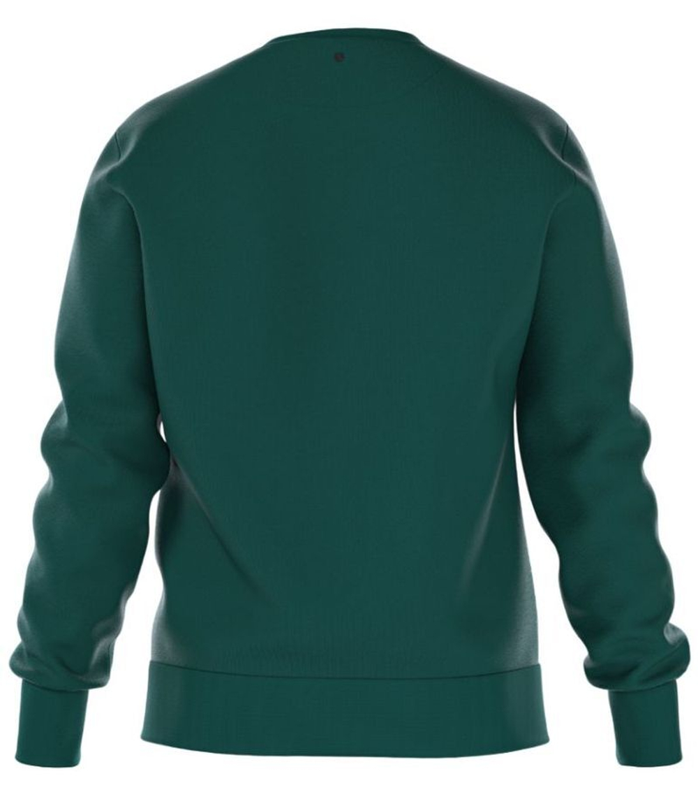 Мужская теннисная кофта Björn Borg Essential 1 - зеленый