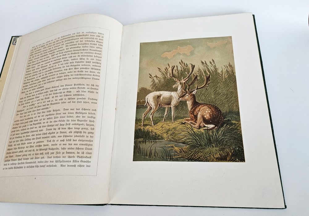 "Hubertus-Bilder. Ein Album für Jäger und Jagdfreunde gezeichnet und erzählt von Guido Hammer (Картины Хубертуса. Альбом для охотников и любителей охоты, нарисованный и озвученный Гвидо Хаммером.)". 0г.