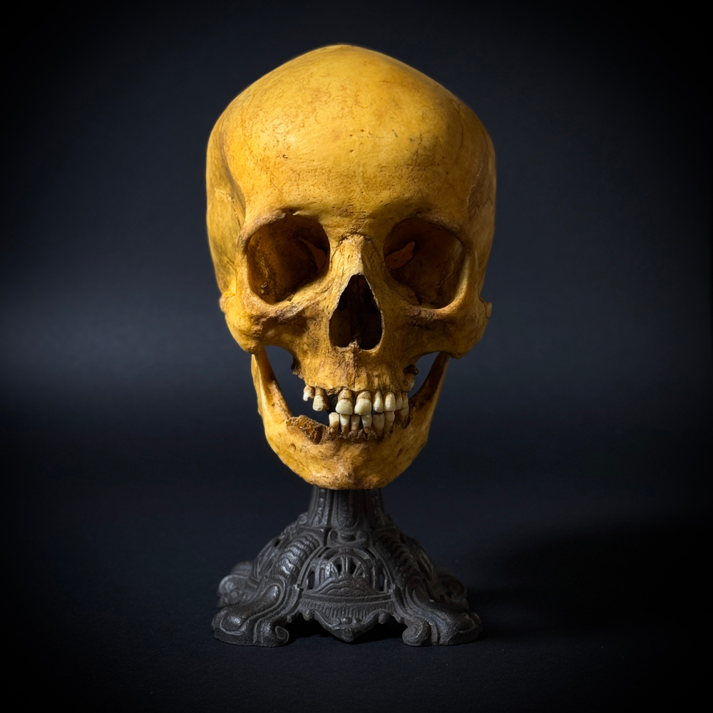 Статуэтка «Череп человека»