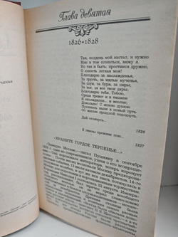 Жизнь Пушкина. Рассказанная им самим и его современниками. В двух томах (комплект из двух книг)