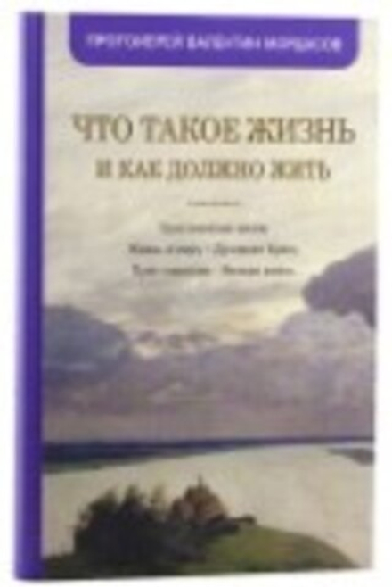 Что такое жизнь и как должно жить (Синтагма) (Прот. В. Мордасов)