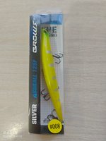 Воблер длина :125мм вес: 10г заглубление :0.3-1м