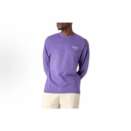 Лонгслив Dickies