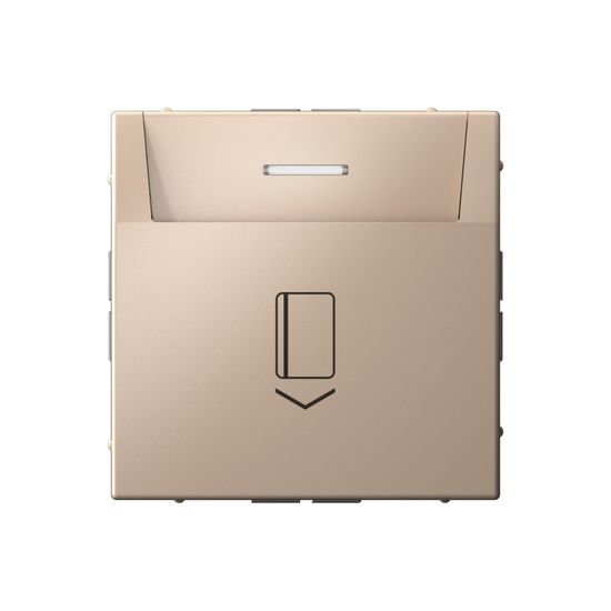 Выключатель карточный ArtGallery 10А без задержки времени быстрозажим. клем. песочн. SE GAL001214S