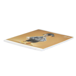 Тетрадь, 48 л, клетка, ЗУМЕРЫ /А5