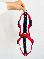 Шлейка для собак, Биотан, 25 мм , L размер ,средние и крупные породы, красный и черный