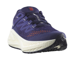 Кроссовки для бега женские Salomon Aero Glide 3 GRVL W Фиолетовые