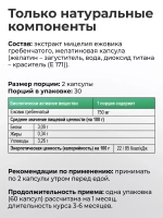 Ежовик Гребенчатый Мицелий 60 капсул