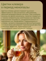 Клевер красный луговой целые цветки