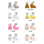Секретный плюш SKZOO SECRET WIND-UP PLUSH - RUN IT