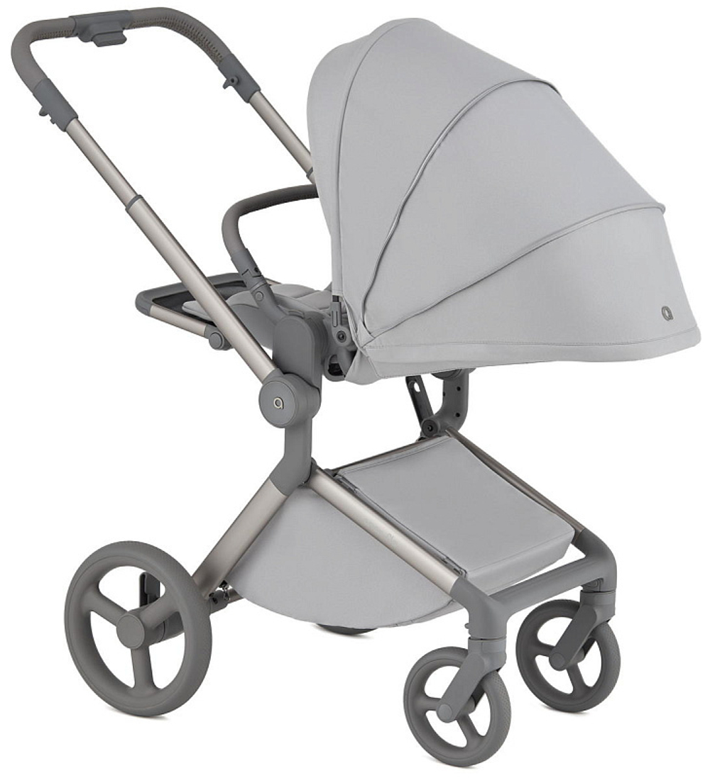 Детская коляска Anex Flo 2 в 1 Frossy