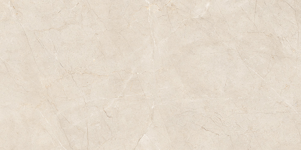 60x120 MoonLight Греж Матовый R10A Ректификат