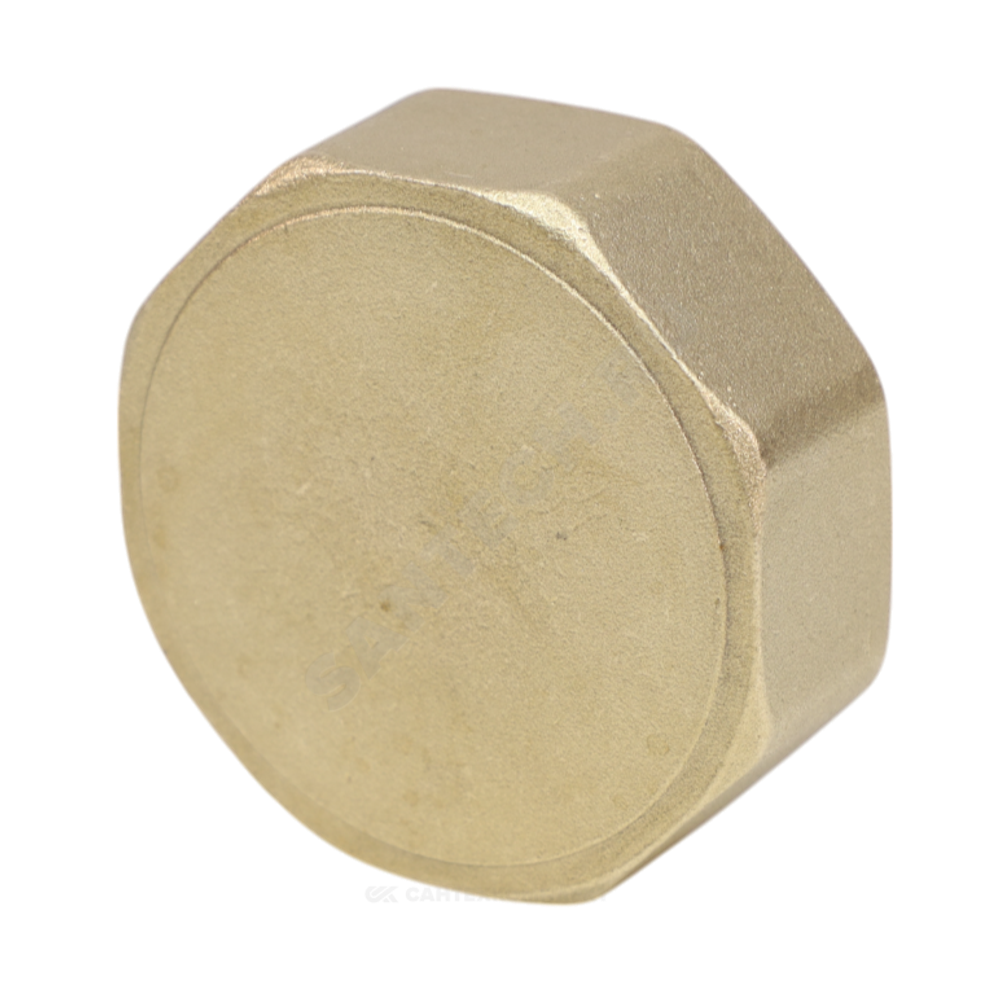 Заглушка латунь Ду 25 (1") ВР VALFEX VF.590.L.100