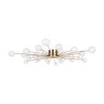 Потолочная люстра Freya CELEBRITY FR5242CL-24BS1