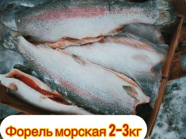 Поступила свежемороженая форель морская 2-3 кг!