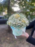 Композиция из гипсофилы