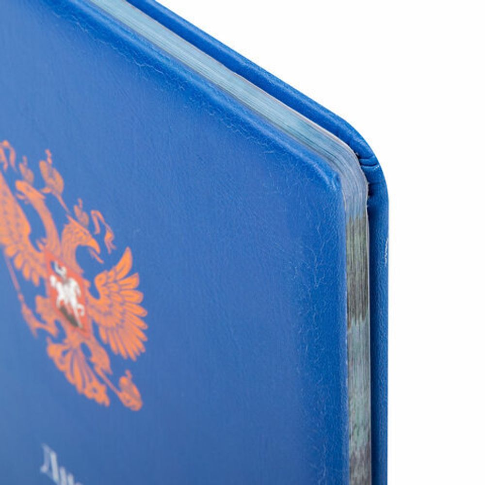 Дневник 1-11 класс 48 л., кожзам (твердая с поролоном), печать, цветной блок, BRAUBERG, "Символика", 106955