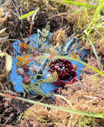 Земляная Свеча. Большая Синяя. Материализация. Эмоциональный интеллект. Глубина чувств и сновидений + ПОДАРОК