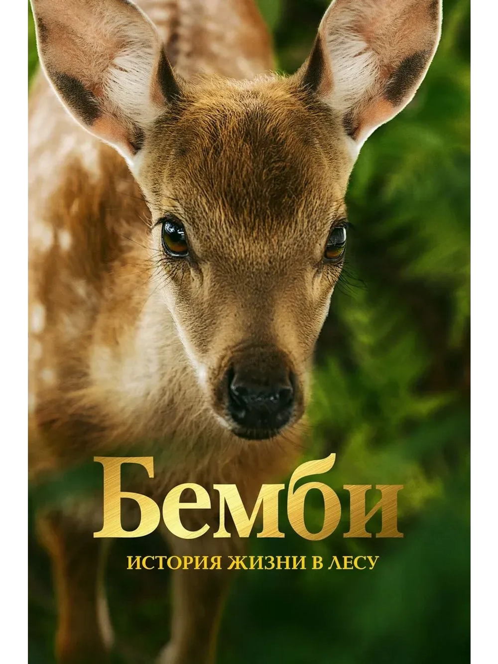 Бемби. История жизни в лесу (2024) (КИНО USB)