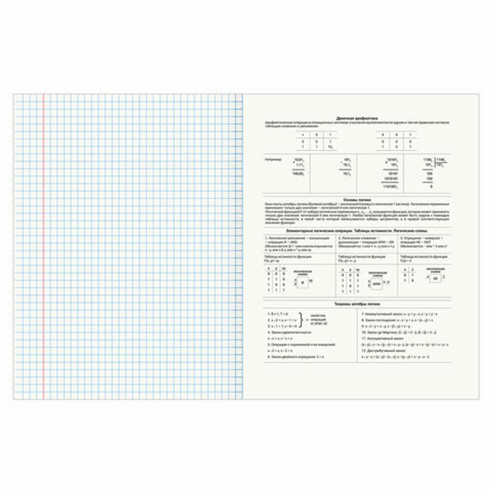 Тетрадь предметная "DELIGHT" 48 л., обложка картон, ИНФОРМАТИКА, клетка, BRAUBERG, 404574