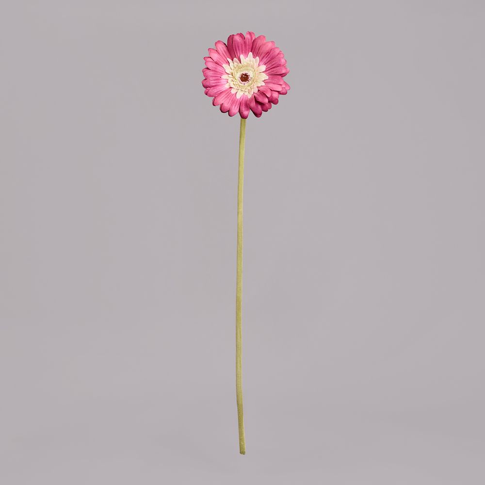 ЦВЕТОК ИСКУССТВЕННЫЙ "ГЕРБЕРА" ВЫСОТА=61СМ. (МАЛ=24 ШТ/КОР=96ШТ.)