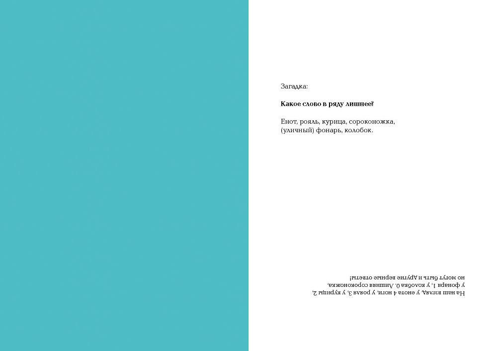 Енот в музее