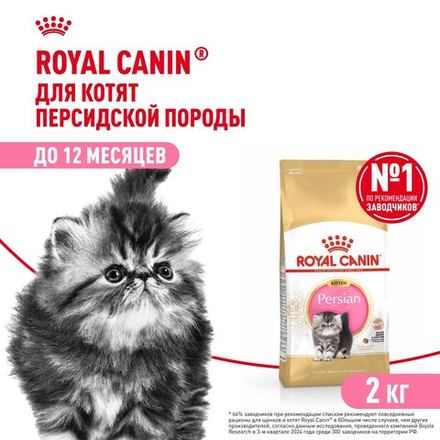 Royal Canin Persian Kitten Корм сухой сбалансированный для персидских котят 2 кг