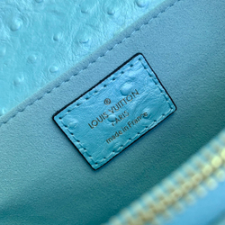 Louis Vuitton Pochette Metis East West