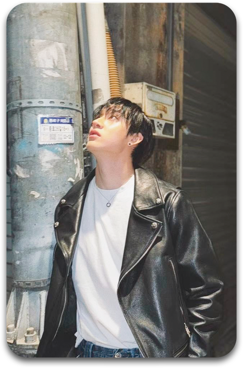 Карта / STRAY KIDS #1209