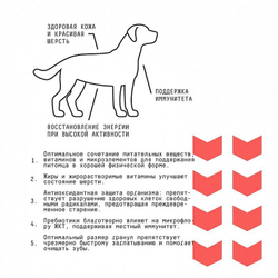 AJO Dog Medium Adult корм с гречкой для собак средних пород 2 кг