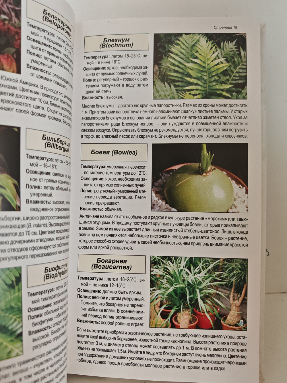 Комнатные растения