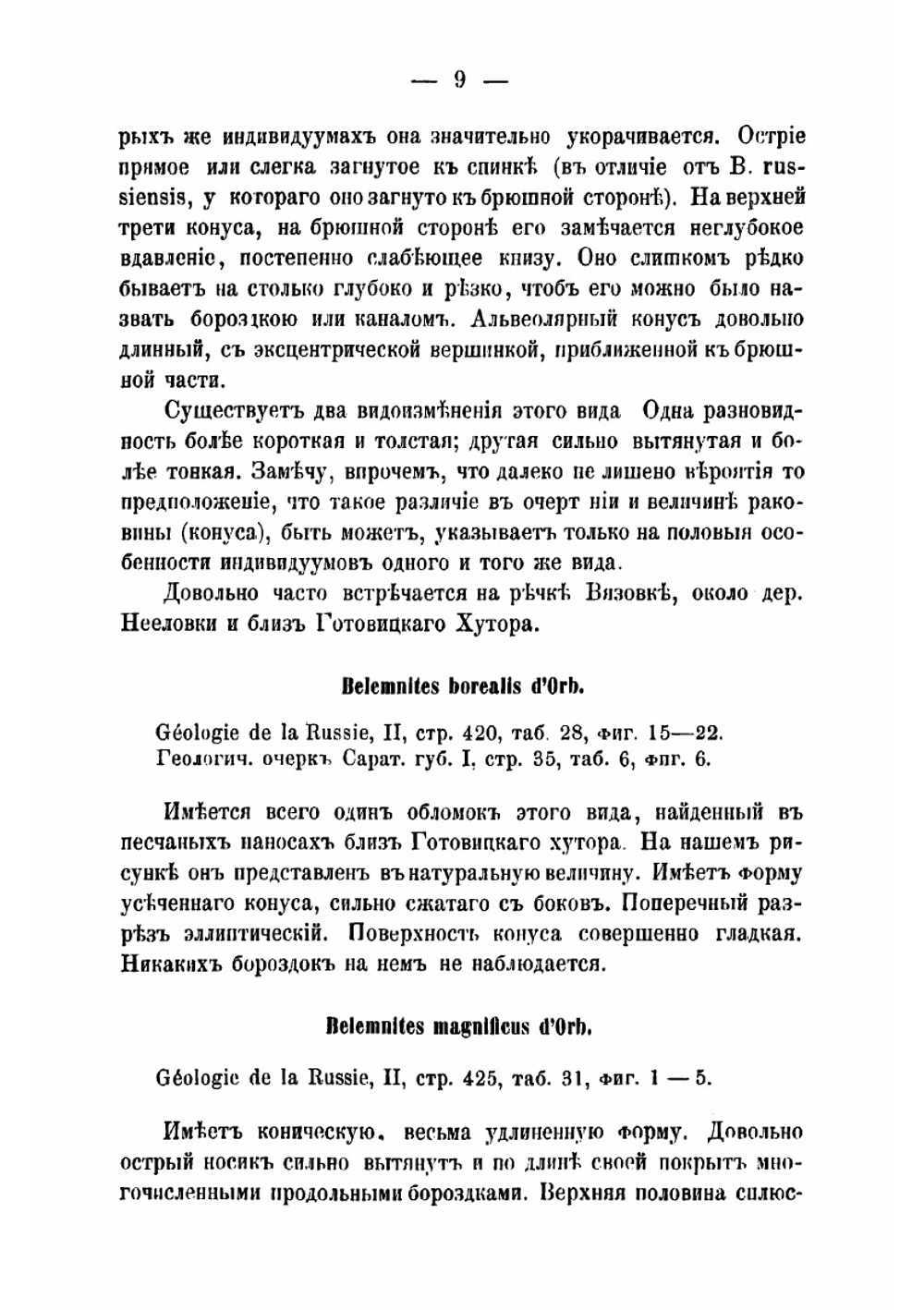 Об юрских и меловых окаменелостях Саратовской губернии | Синцов Иван Федорович