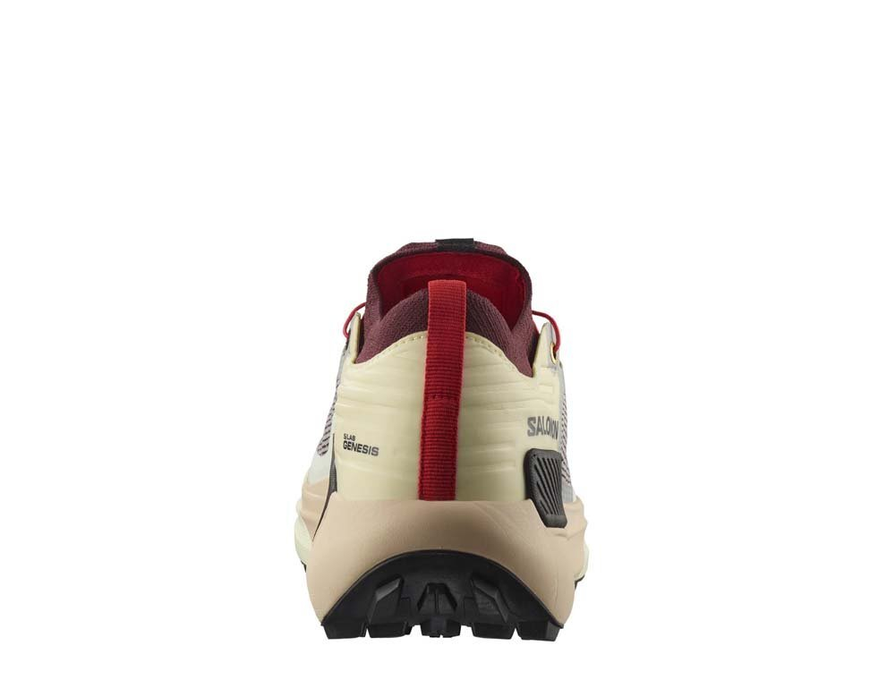 Кроссовки для бега мужские Salomon S/LAB Genesis Vanilia М Бежево-бордовые