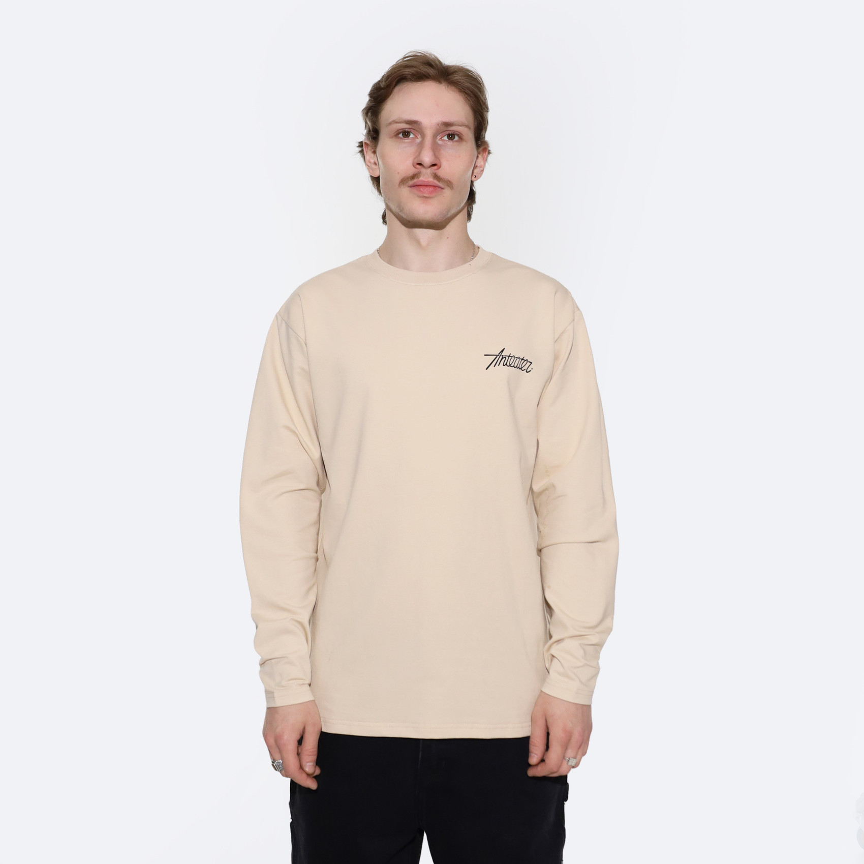 Лонгслив Anteater Phat Long106 (light-beige) артикул: - купить в магазине Дайс