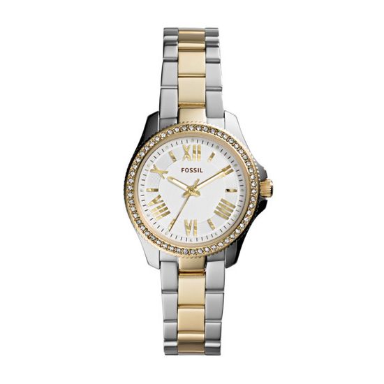 Наручные часы Fossil AM4579