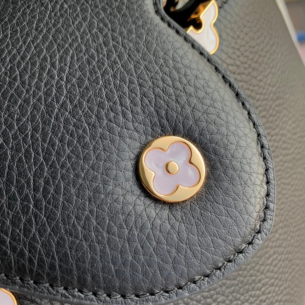 Louis Vuitton Capucines Mini