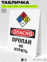 Табличка для частной территории "Опасно, пропан", на дом, для участка, организаций и частных территорий, предупреждающая, 40х30 см, Silver Plane x Айдентика Технолоджи