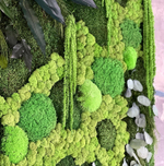 Пано из стабилизированных растений и мха различных видов для интерьера Event-агенства. г.Краснодар