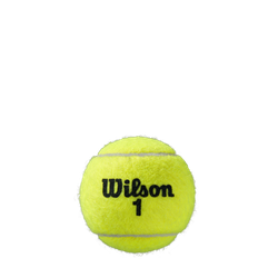 Теннисные мячи Wilson Roland Garros Clay 2 x 4B