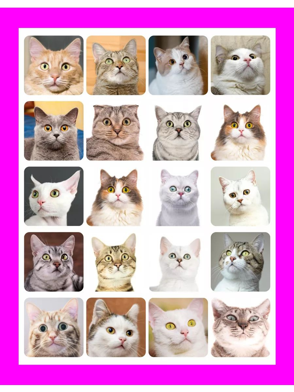 Наклейки детские на телефон стикеры на карту Котики