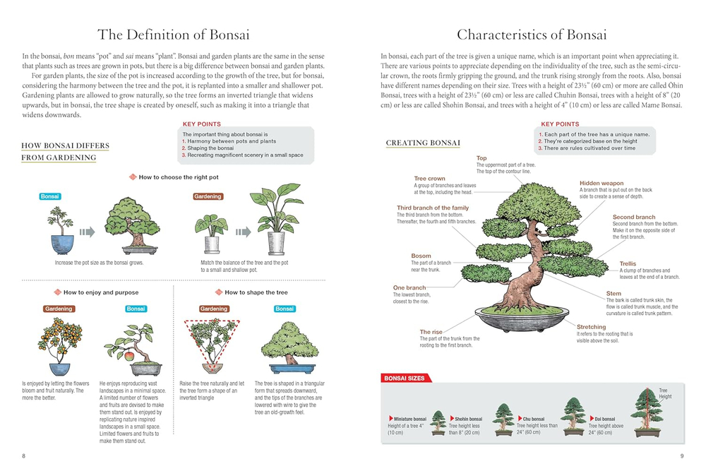 Bonsai master class