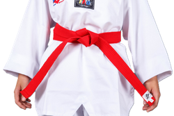 Пояс для тхэквондо ProfSport без вышивки (4 см) красный