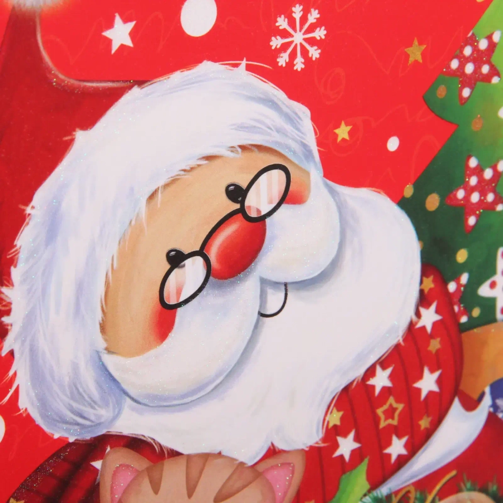 Пакет подарочный «Дедушка Мороз» 18*23*8 см, микс